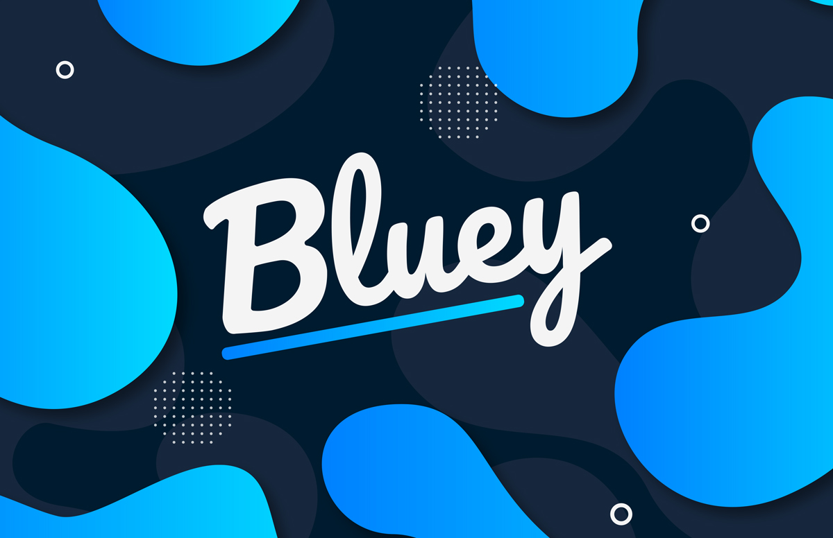 Applications Made For The Future » Bluey B.V.